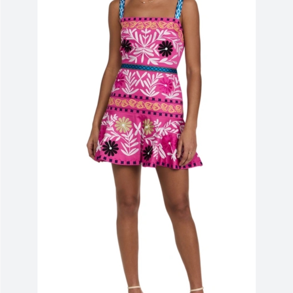 Alexis floral embroidered mini dress